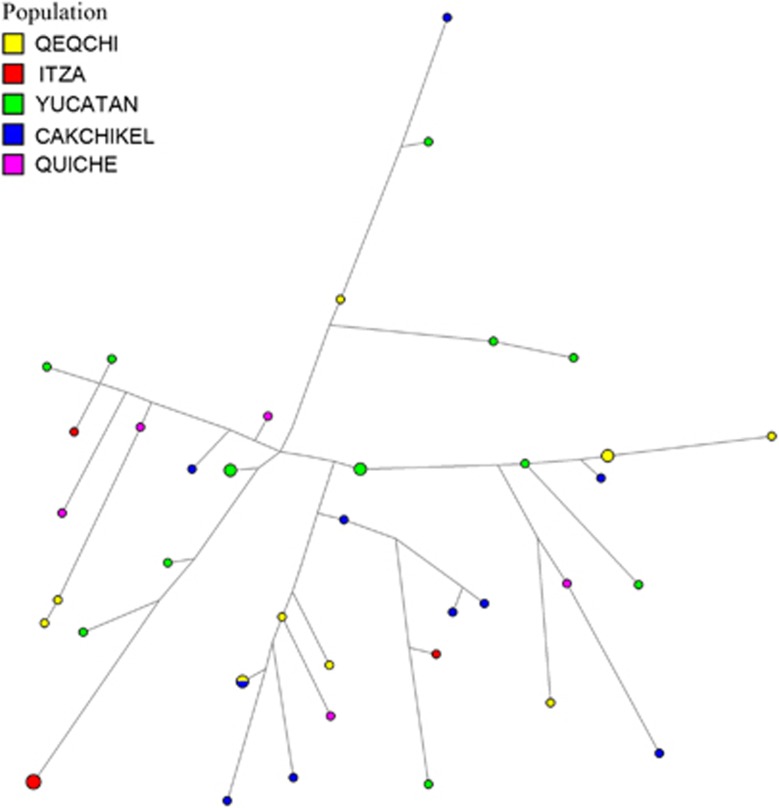 Figure 5