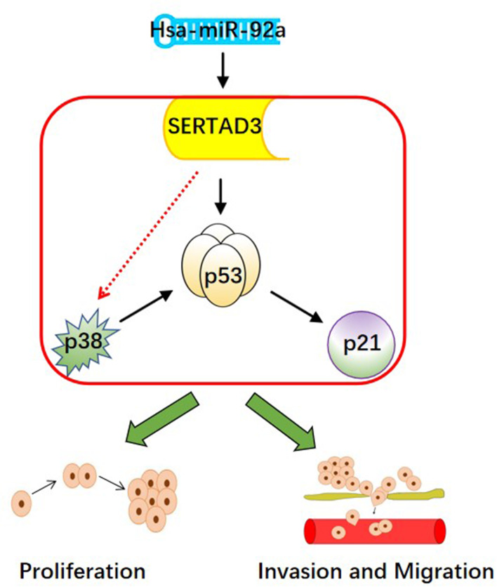 Figure 9