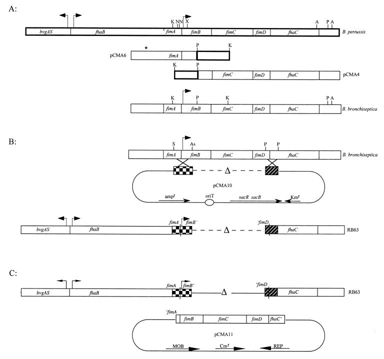 FIG. 1