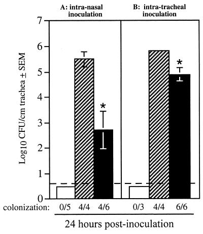 FIG. 6