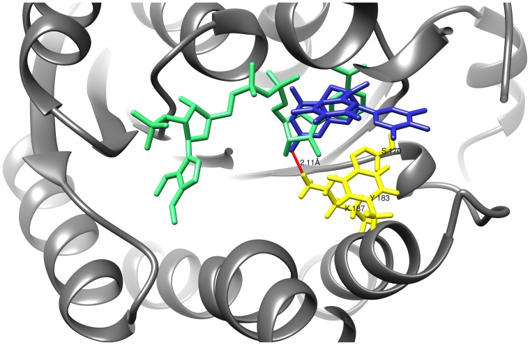 Figure 11