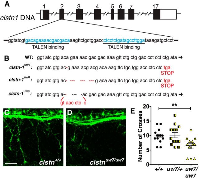 Figure 3.