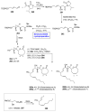 Scheme 37