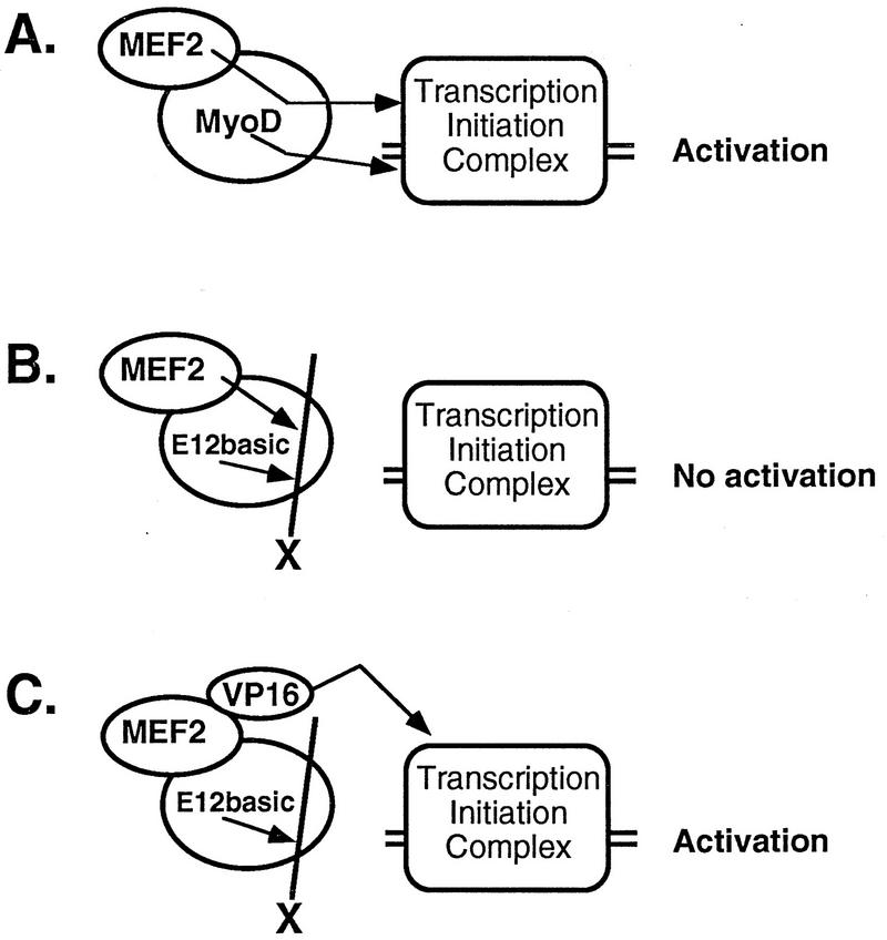 FIG. 6