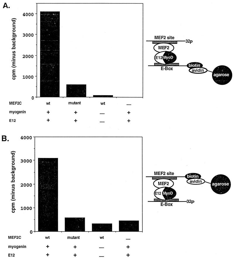 FIG. 1