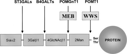  Figure  4