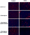 Figure  3