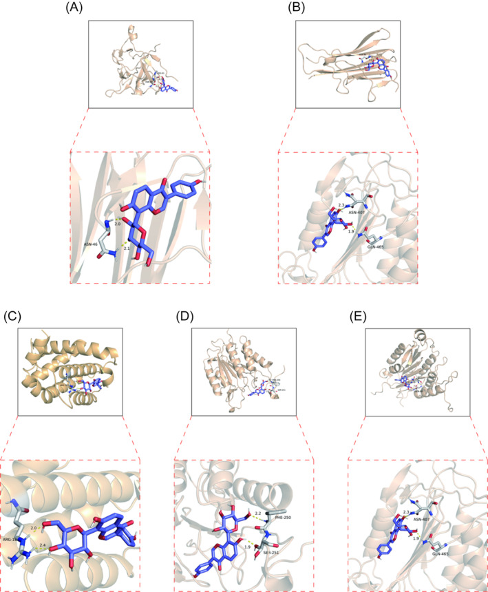 FIGURE 6