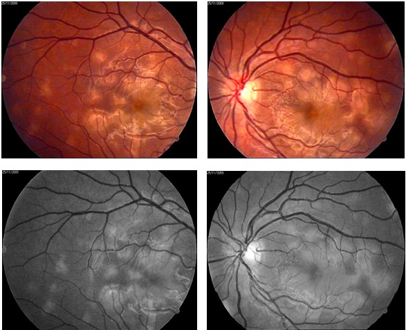 Fig. 2