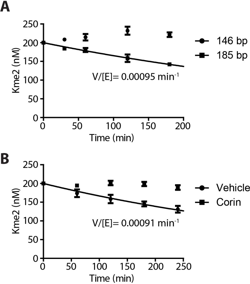 Figure 5—figure supplement 1.