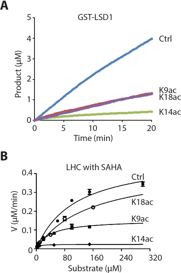 Figure 3—figure supplement 1.