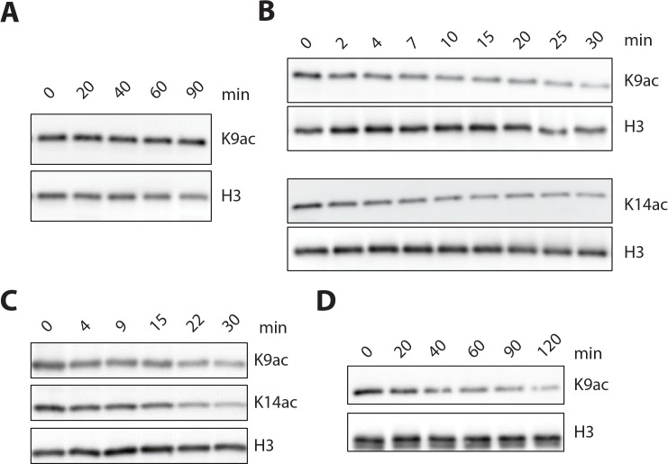 Figure 6—figure supplement 1.