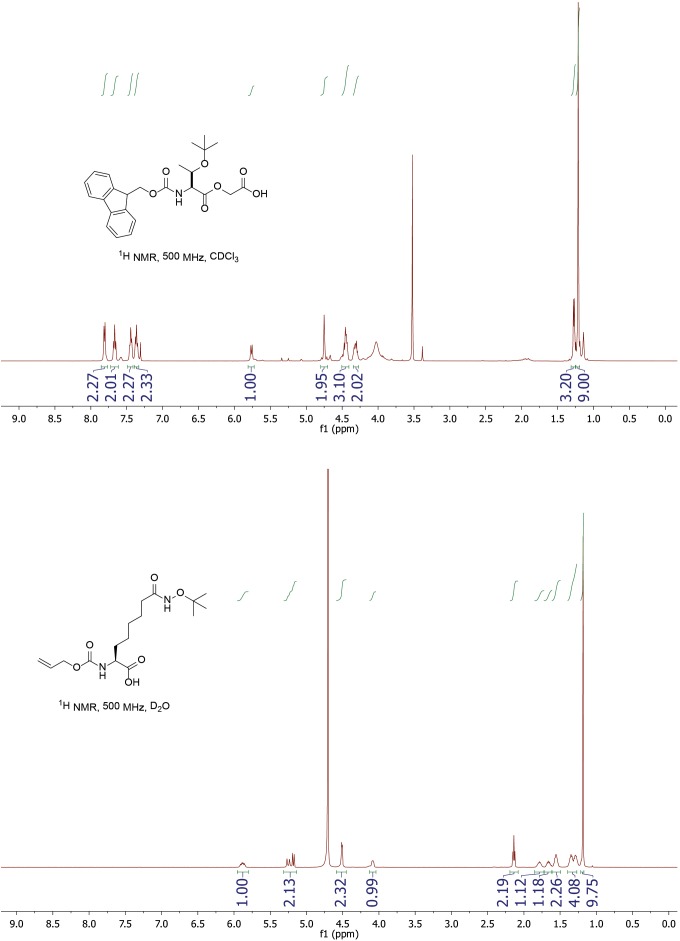 Figure 4—figure supplement 4.