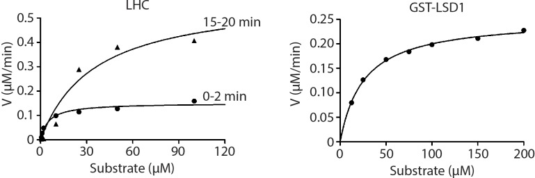 Figure 2—figure supplement 1.