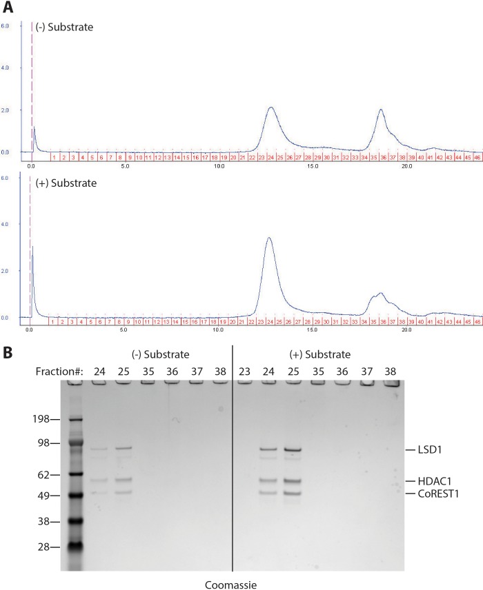 Figure 2—figure supplement 2.