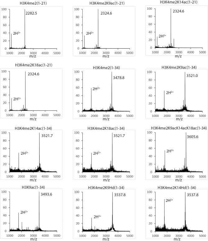 Figure 4—figure supplement 2.