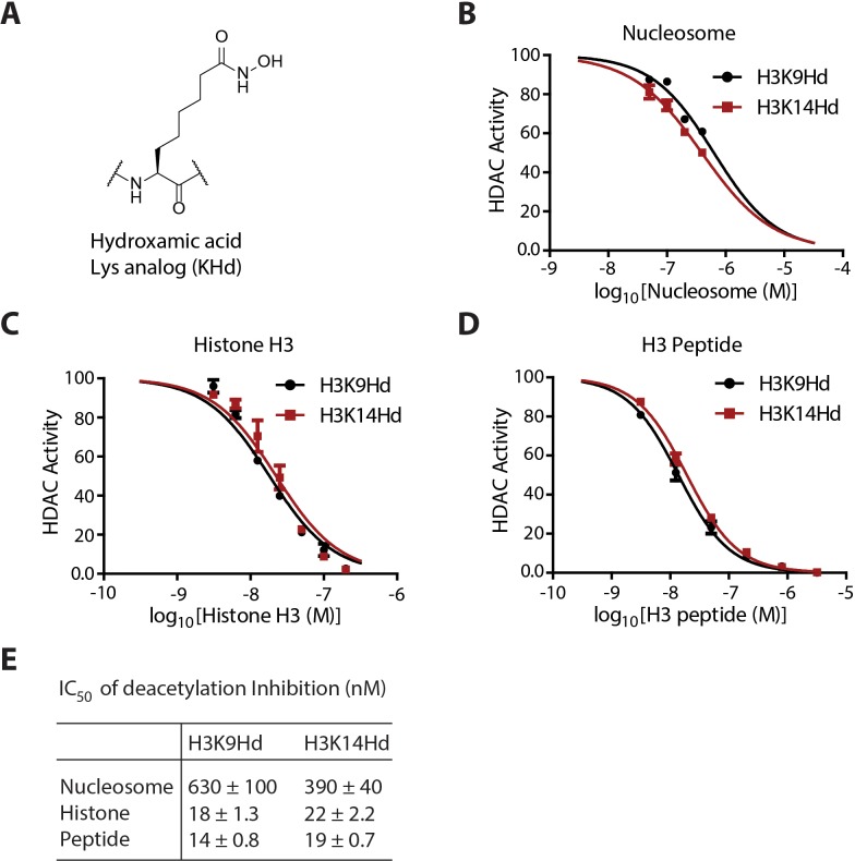 Figure 7—figure supplement 1.