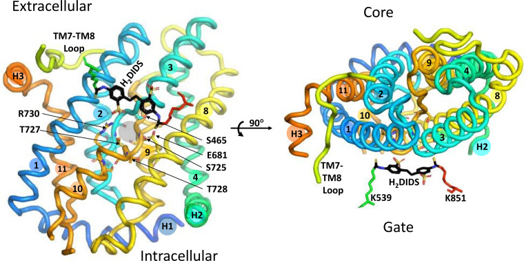 Figure 6.