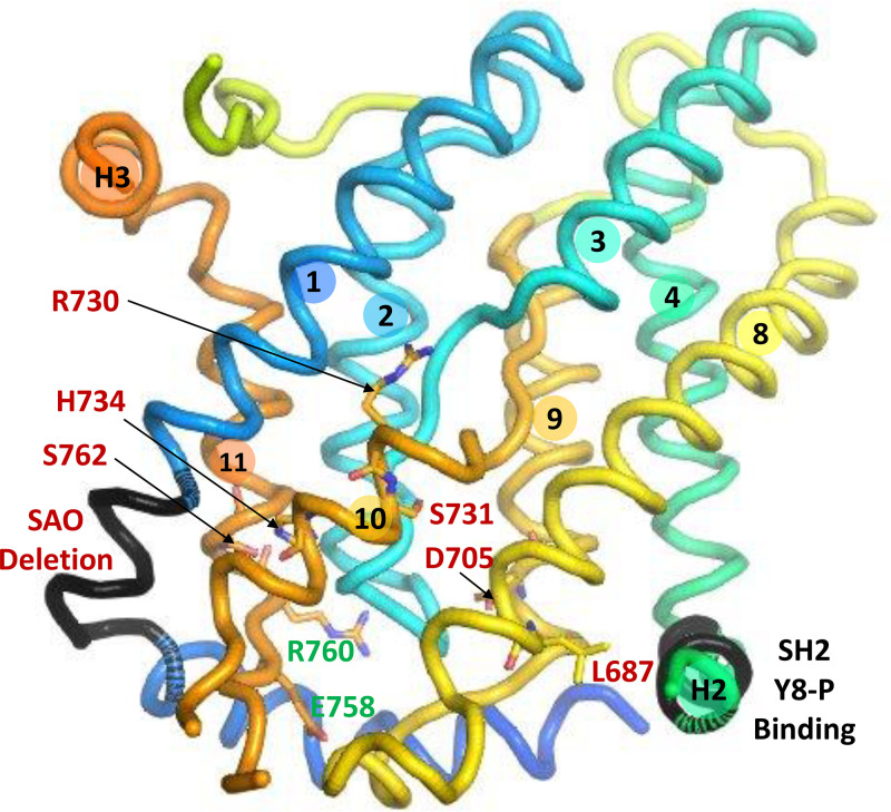 Figure 7.