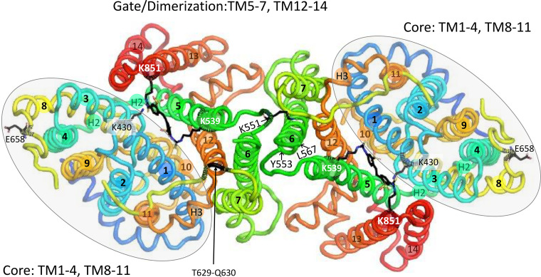 Figure 5.