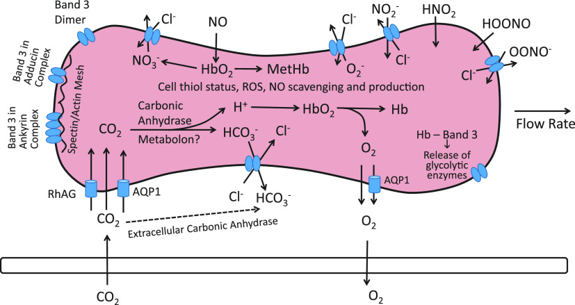 Figure 9.