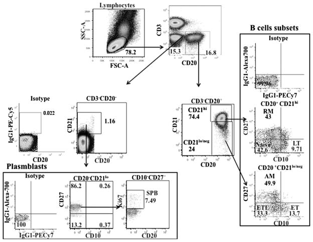 FIGURE 1