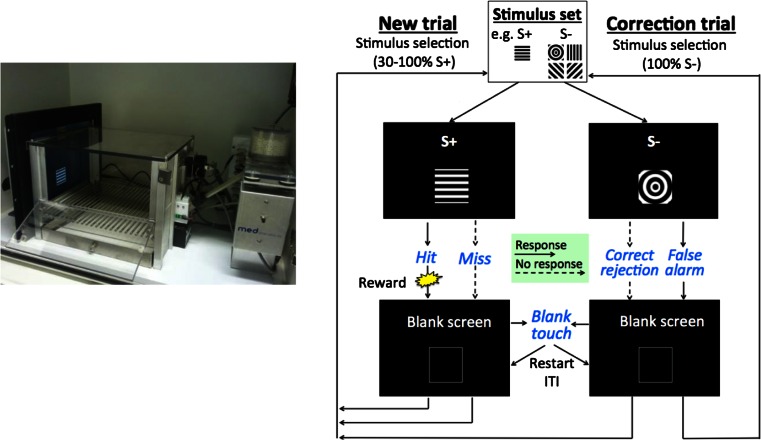 Fig. 1