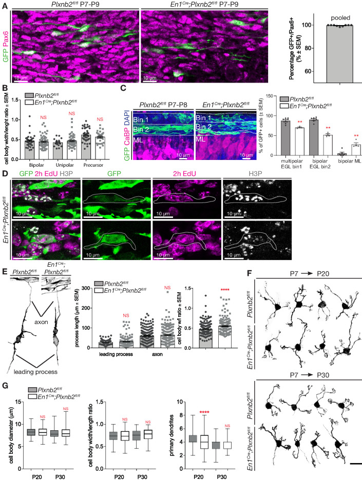 Figure 5—figure supplement 1.