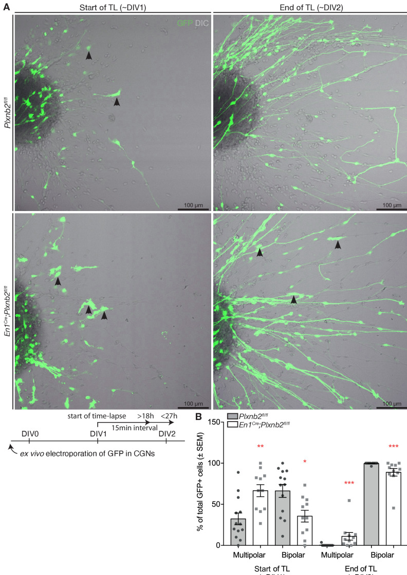 Figure 10—figure supplement 1.