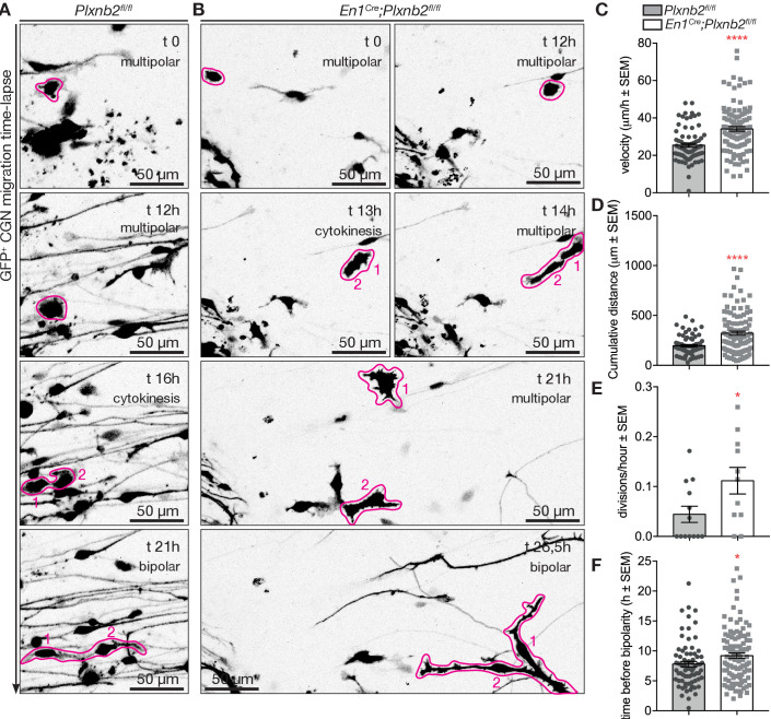 Figure 10.