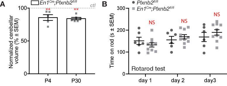 Figure 3—figure supplement 1.