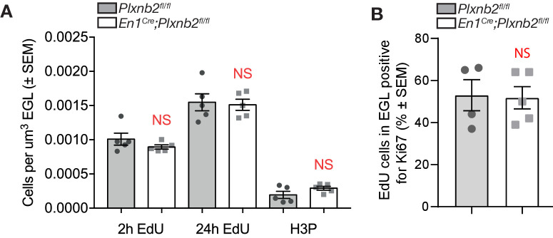 Figure 4—figure supplement 1.