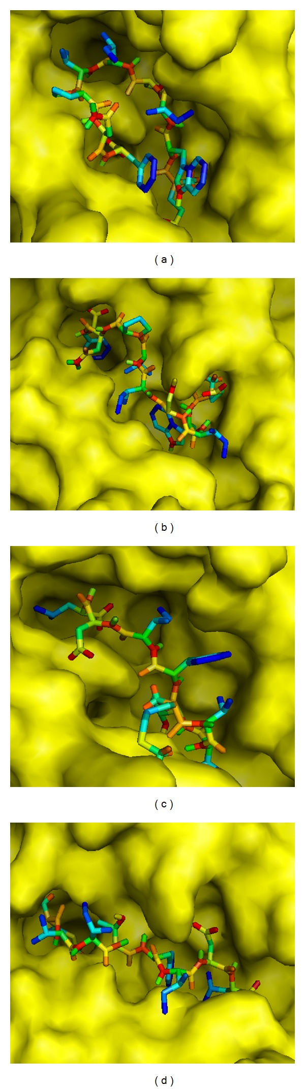 Figure 4