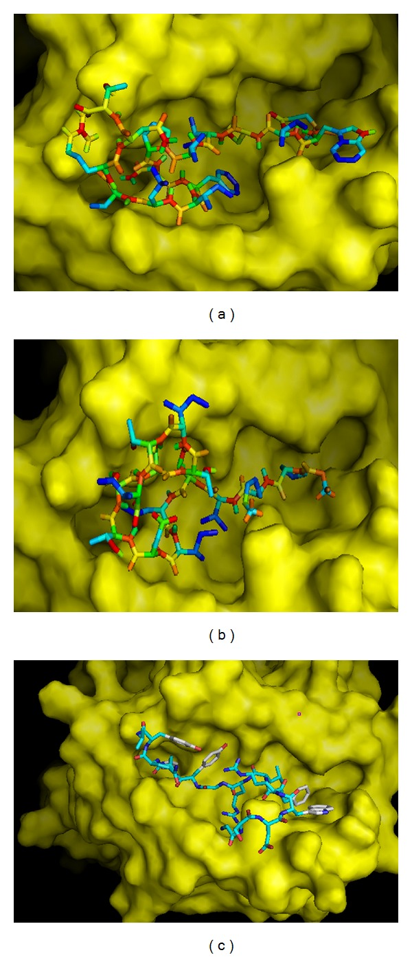 Figure 5