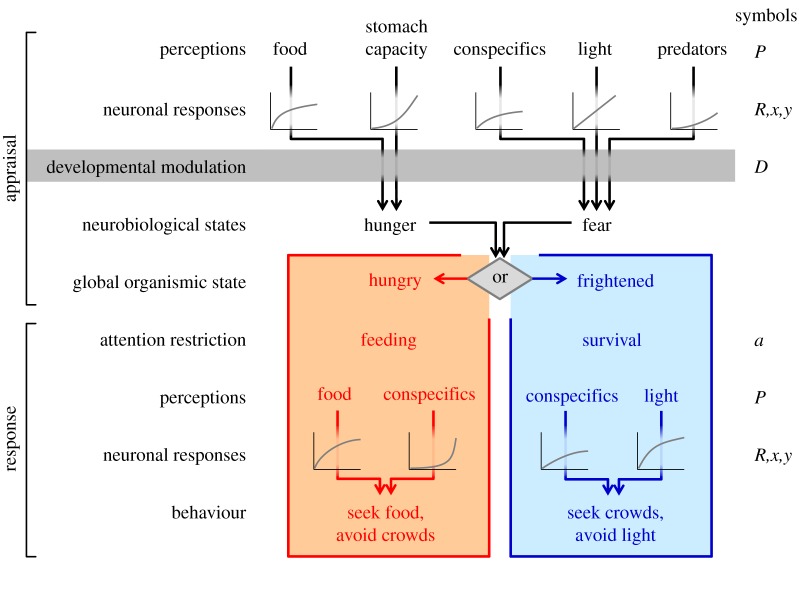 Figure 1.