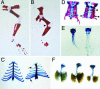 Fig. 4.