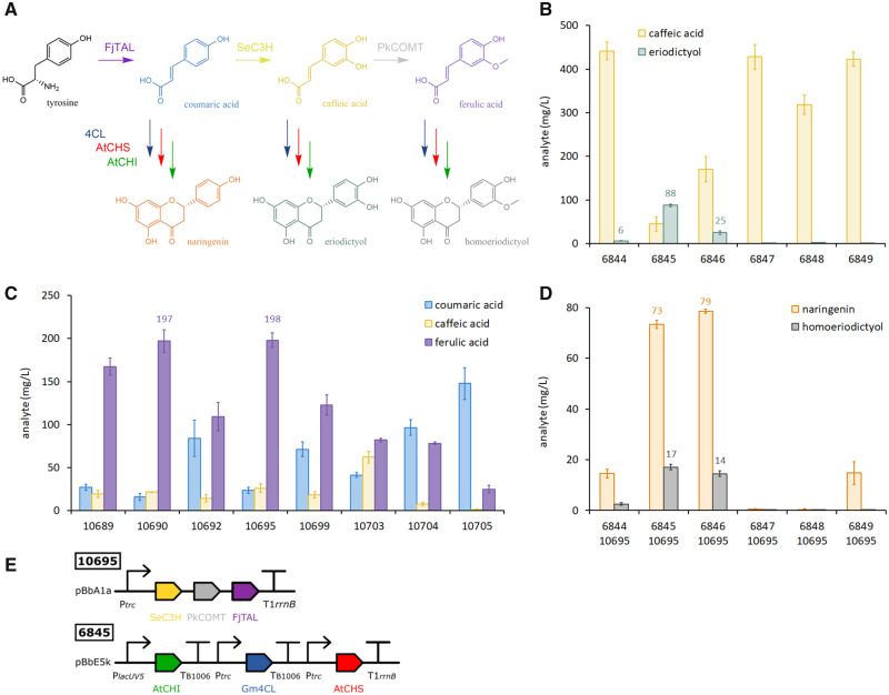 Fig 4: