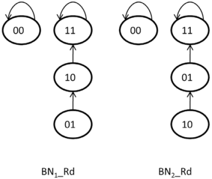 Fig. (2)