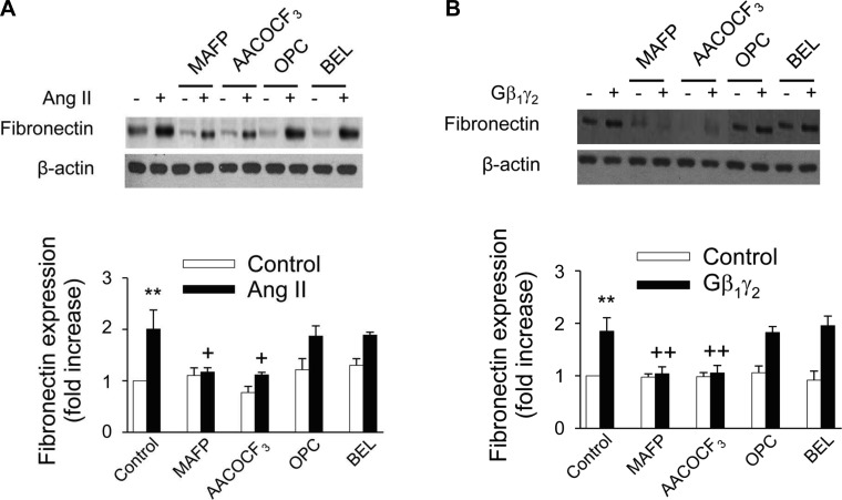 Fig. 13.