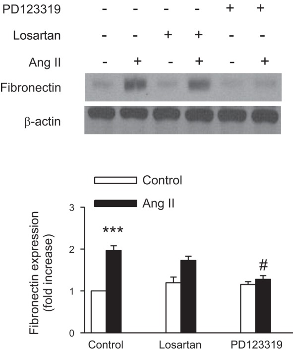 Fig. 14.