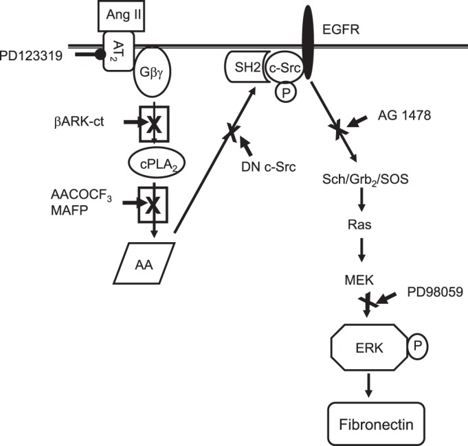 Fig. 15.