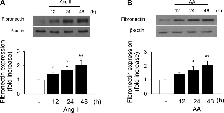 Fig. 9.