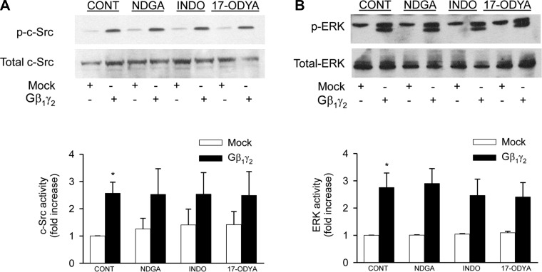 Fig. 8.