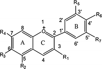 Fig. 2