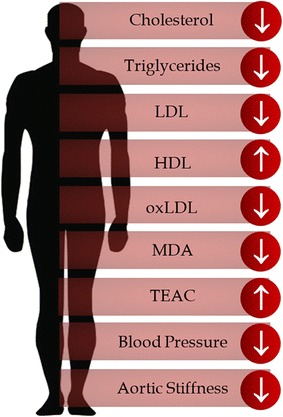 Fig. 3