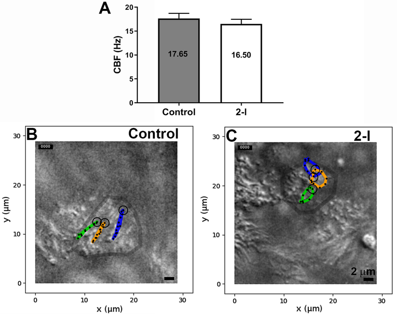 Figure 2: