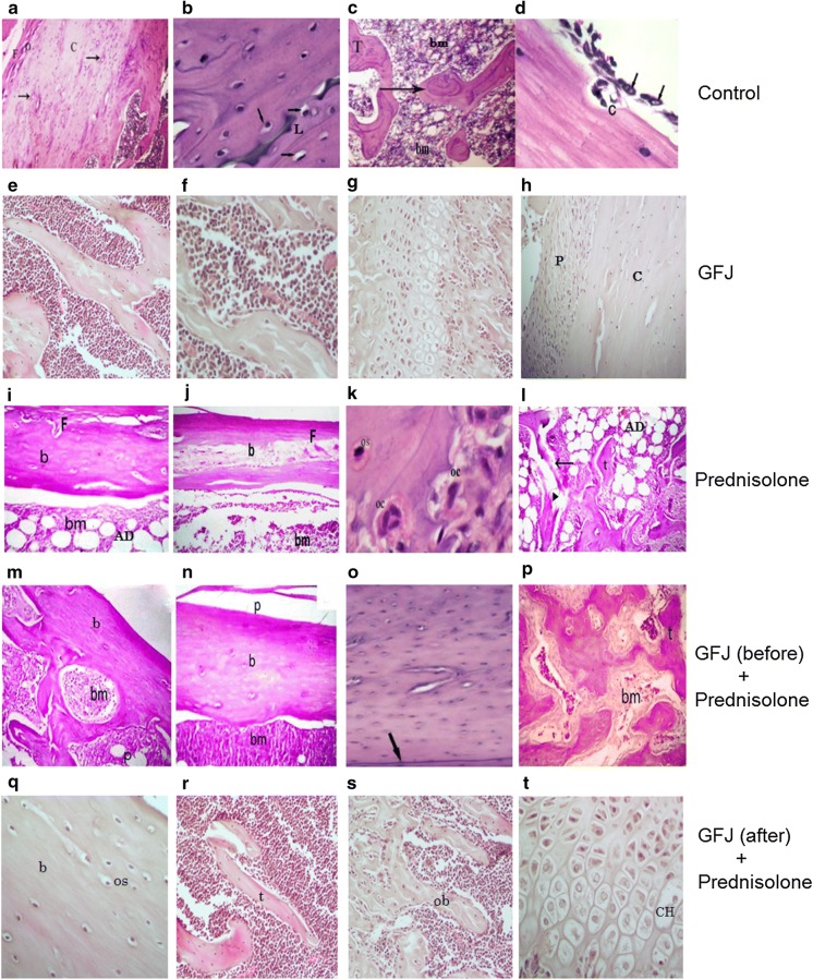 Fig. 3