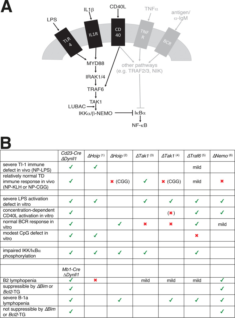 FIG 6