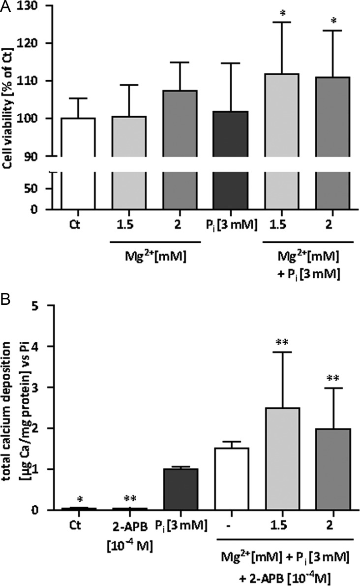 FIGURE 4: