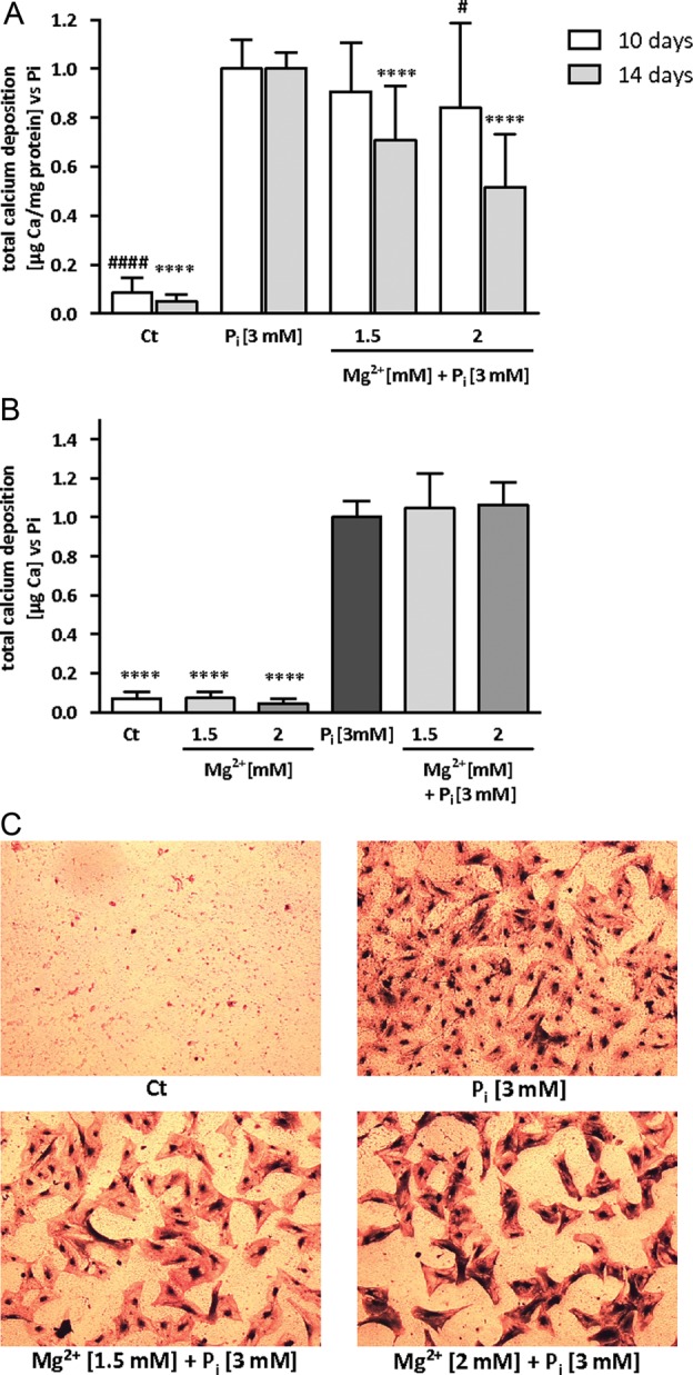 FIGURE 2: